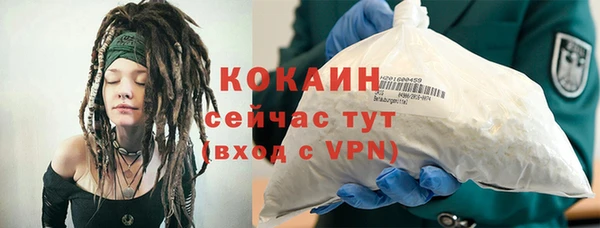 дмт Абаза