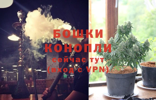 спайс Алзамай