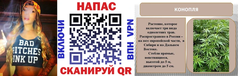 Каннабис White Widow  наркошоп  Зубцов 